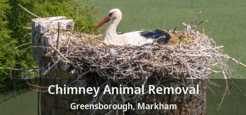 Chimney Animal Removal Greensborough, Markham - ON