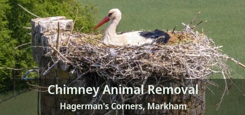 Chimney Animal Removal Hagerman's Corners, Markham - ON