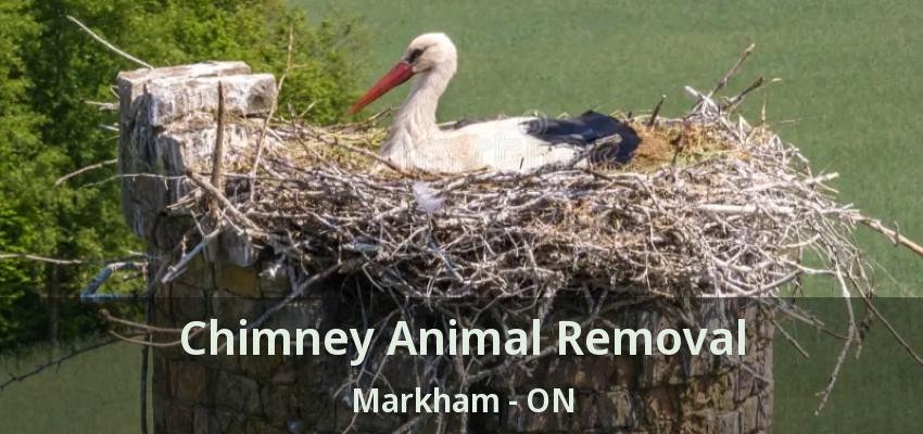 Chimney Animal Removal Markham - ON