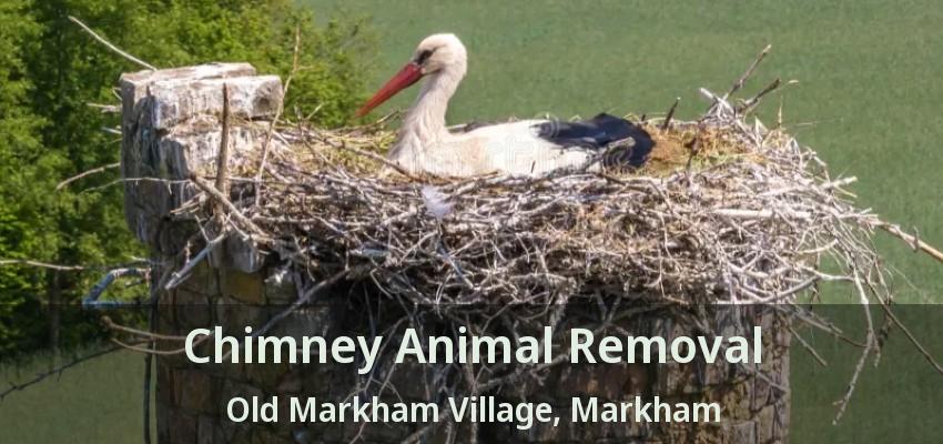 Chimney Animal Removal Old Markham Village, Markham - ON