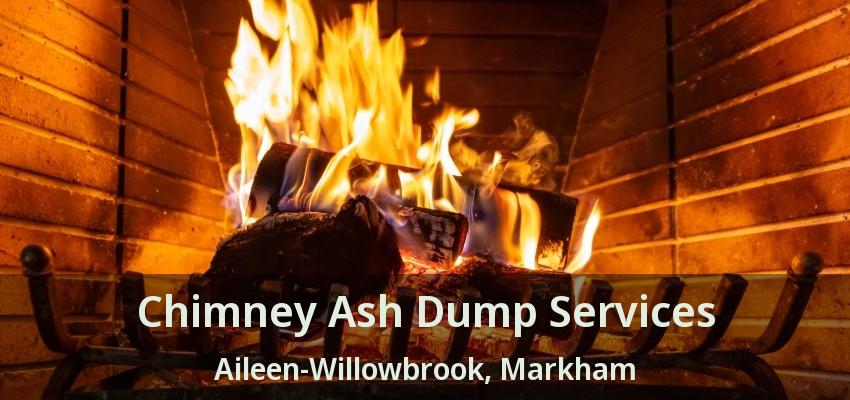Chimney Ash Dump Services Aileen-Willowbrook, Markham - ON