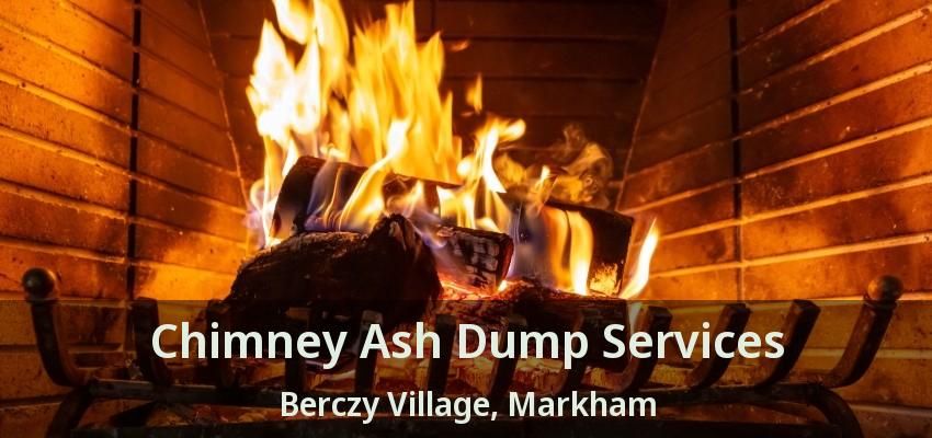 Chimney Ash Dump Services Berczy Village, Markham - ON