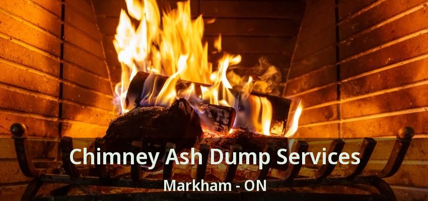 Chimney Ash Dump Services Markham - ON