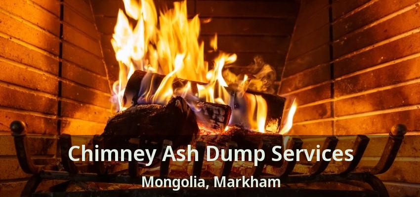 Chimney Ash Dump Services Mongolia, Markham - ON