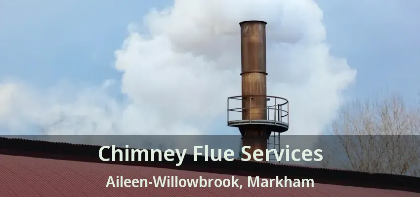 Chimney Flue Services Aileen-Willowbrook, Markham - ON