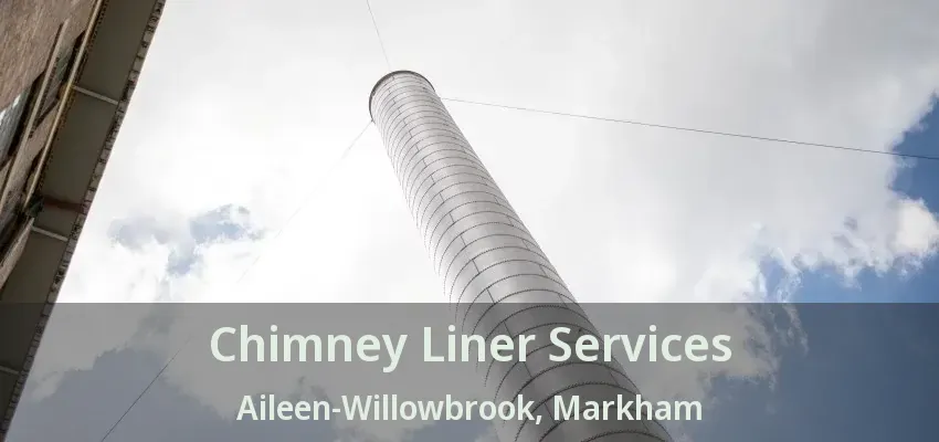 Chimney Liner Services Aileen-Willowbrook, Markham - ON