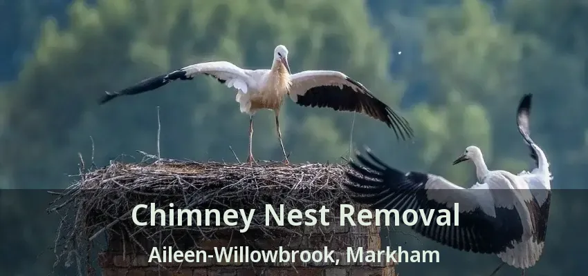 Chimney Nest Removal Aileen-Willowbrook, Markham - ON