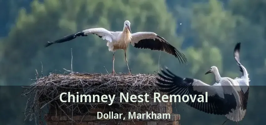 Chimney Nest Removal Dollar, Markham - ON