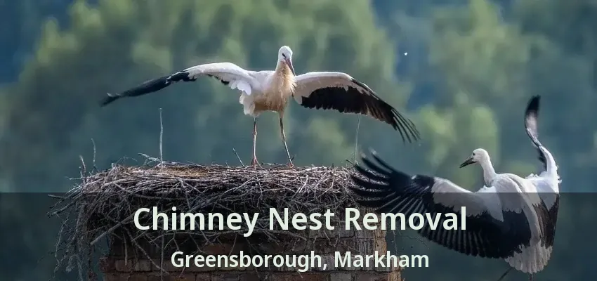 Chimney Nest Removal Greensborough, Markham - ON