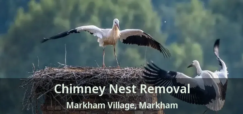 Chimney Nest Removal Markham Village, Markham - ON