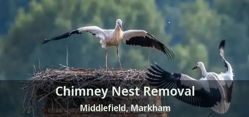 Chimney Nest Removal Middlefield, Markham - ON