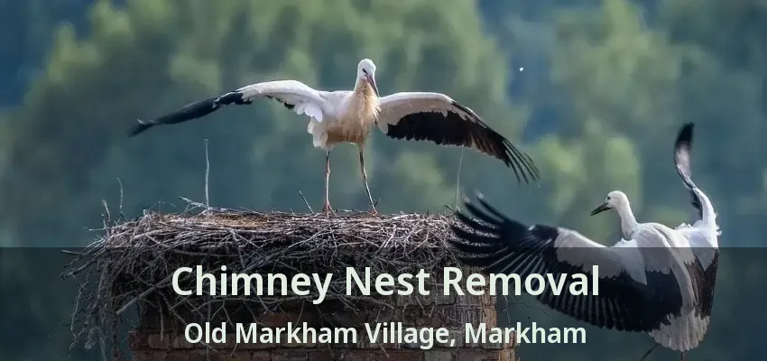 Chimney Nest Removal Old Markham Village, Markham - ON