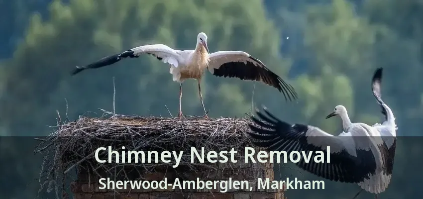 Chimney Nest Removal Sherwood-Amberglen, Markham - ON