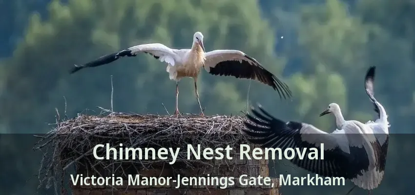 Chimney Nest Removal Victoria Manor-Jennings Gate, Markham - ON
