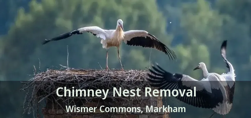 Chimney Nest Removal Wismer Commons, Markham - ON