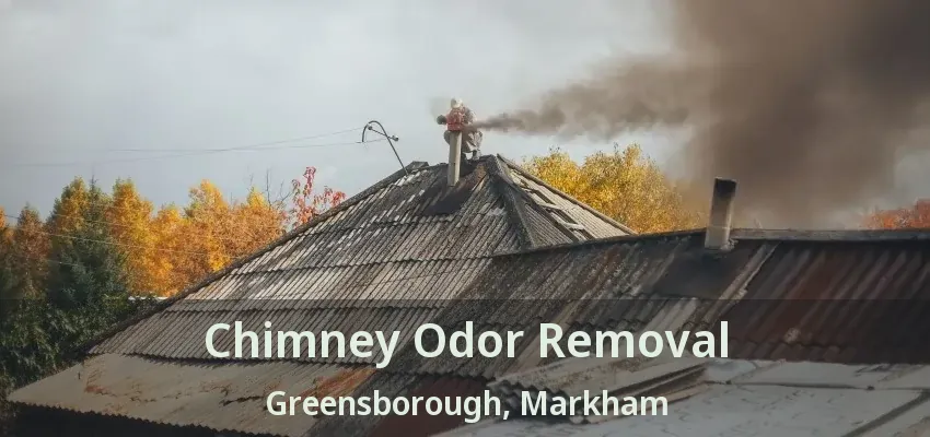 Chimney Odor Removal Greensborough, Markham - ON