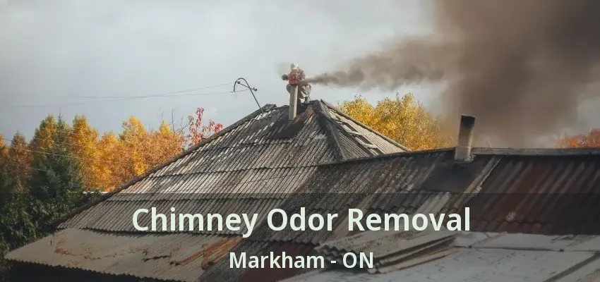 Chimney Odor Removal Markham - ON