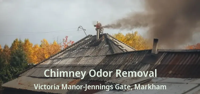 Chimney Odor Removal Victoria Manor-Jennings Gate, Markham - ON