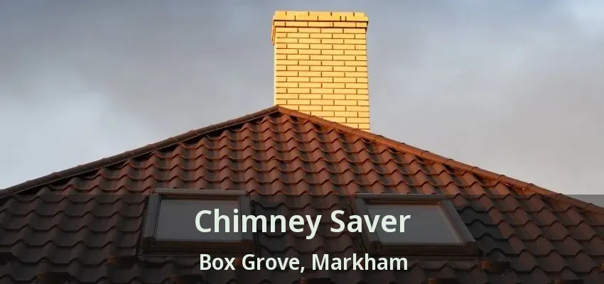 Chimney Saver Box Grove, Markham - ON