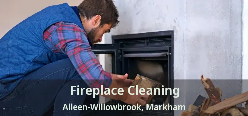 Fireplace Cleaning Aileen-Willowbrook, Markham - ON