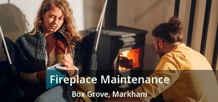 Fireplace Maintenance Box Grove, Markham - ON