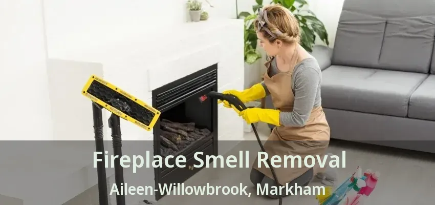 Fireplace Smell Removal Aileen-Willowbrook, Markham - ON