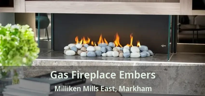 Gas Fireplace Embers Milliken Mills East, Markham - ON