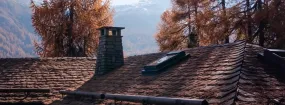 Chimney Animal Removal Greensborough, Markham